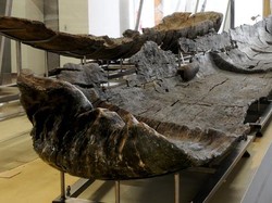 Lebih dari 7.000 Tahun Lalu, Orang Neolitikum Sudah Punya Perahu Canggih