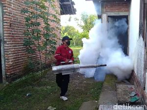 Awas! Demam Berdarah di Trenggalek Meningkat Tajam Awas! Demam Berdarah di Trenggalek Meningkat Tajam