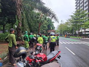 Pohon Tumbang di 2 Titik Jakarta Pusat Usai Hujan Disertai Angin Pohon Tumbang di 2 Titik Jakarta Pusat Usai Hujan Disertai Angin