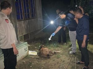 Pria di Kalsel Pukul Kepala Ayah Pakai Balok hingga Tewas gegara Jual Kambing Pria di Kalsel Pukul Kepala Ayah Pakai Balok hingga Tewas gegara Jual Kambing