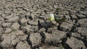 Potret Kekeringan Kamboja di Hari Air Sedunia