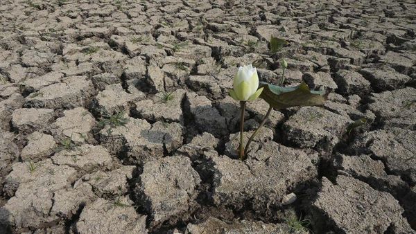 Potret Kekeringan Kamboja di Hari Air Sedunia