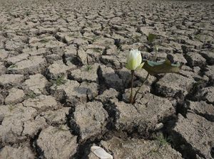 Potret Kekeringan Kamboja di Hari Air Sedunia Potret Kekeringan Kamboja di Hari Air Sedunia