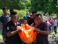 Pamit Cari Anggrek, Lansia di Rote Ndao Ditemukan Tewas Terjatuh dari Pohon