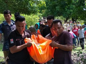 Pamit Cari Anggrek, Lansia di Rote Ndao Ditemukan Tewas Terjatuh dari Pohon Pamit Cari Anggrek, Lansia di Rote Ndao Ditemukan Tewas Terjatuh dari Pohon