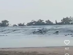 Heboh Baby Volcano Grobogan Semburkan Lumpur Usai Gempa Tuban