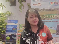 Pemkot Denpasar Manfaatkan Drone untuk Pantau Lahan-Prediksi Waktu Panen