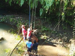 Byurr! Sapi Metal Bobot 2 Kuintal Terjun ke Sungai di Tulung Klaten