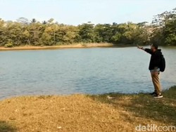 3 Hewan Sangar di Surade Sukabumi, Hiu Megalodon hingga Harimau Jawa