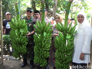 Khofifah Buka Diri Terima Rekom Parpol Lain Usai Kantongi 4 Tiket Pilgub Jatim