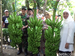 Khofifah Buka Diri Terima Rekom Parpol Lain Usai Kantongi 4 Tiket Pilgub Jatim