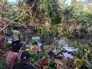 Remaja Wanita di Buton Tengah Hilang Diterkam Buaya Saat Seberangi Sungai
