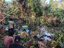 Remaja Wanita di Buton Tengah Hilang Diterkam Buaya Saat Seberangi Sungai