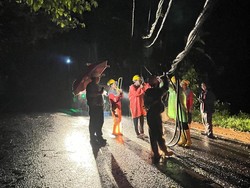 PLN Catat 40 Gangguan Listrik gegara Cuaca Ekstrem di Bali