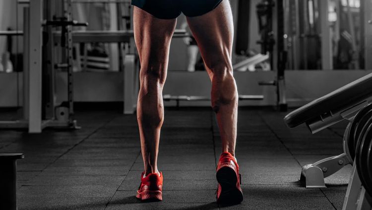 Fondasi Otot Kaki: Kunci Dominasi di Setiap Olahraga