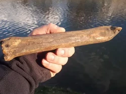 Seluncur Es dari Tulang Berusia 1.000 Tahun Ditemukan di Ceko