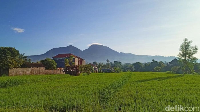 Lahan sawah di Karangasem, Bali. Lahan sawah di Karangasem, Bali.