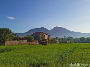 Penopang Canggu, Ini Daerah Primadona Baru di Bali Incaran Investor Properti Penopang Canggu, Ini Daerah Primadona Baru di Bali Incaran Investor Properti