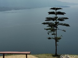 Rekomendasi Transportasi Umum ke Danau Toba, Ongkos Mulai Rp 30 Ribuan