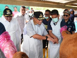 Pj Gubernur Sulsel Dorong Warga Jadi Pengusaha Ternak Lewat Inseminasi Buatan