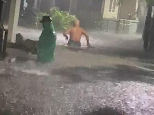 Diguyur Hujan Deras, Pohon Tumbang-Banjir Terjadi di Sejumlah Titik di Bogor