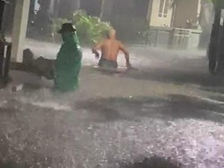 Diguyur Hujan Deras, Pohon Tumbang-Banjir Terjadi di Sejumlah Titik di Bogor