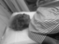 Nek Wagirah Luka Parah Diserang Beruang saat Menyadap Karet