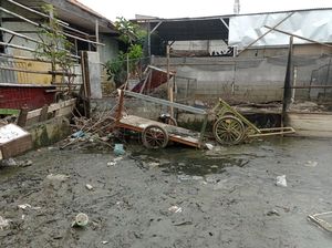 Banjir 2 Hari di Tegal Alur Surut, Warga Keluhkan Lumpur hingga Sampah