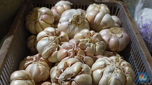 Harga bawang putih makin mahal di Jakarta, tembus Rp 50.000/kg. (CNBC Indonesia/Martyasari Rizky)