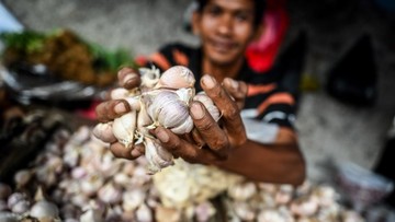 Pemerintah Diminta Bikin HET Bawang Putih Agar Harga Nggak Ugal-ugalan