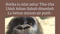 8 Meme Telat Bangun Sahur yang Bikin Ikutan Nyesek, Auto Menangis Dalam Hati