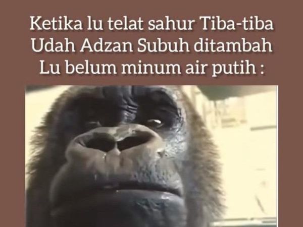 8 Meme Telat Bangun Sahur yang Bikin Ikutan Nyesek, Auto Menangis Dalam Hati
