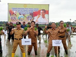 Pemkab Bone Optimalisasi 5.000 Hektare Lahan Rawa Jadi Sawah Produktif