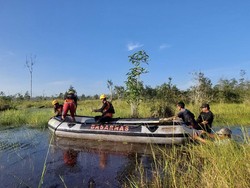 Nelayan di Bangka Selatan Diterkam Buaya Saat Mancing di Sungai Kepuang