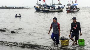 Sedimentasi Bikin Kapal Nelayan Sulit Bersandar di Teluk Labuan