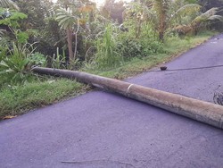 Tumbang, Pohon-Tiang Listrik Tutup Jalan di Manggis Karangasem