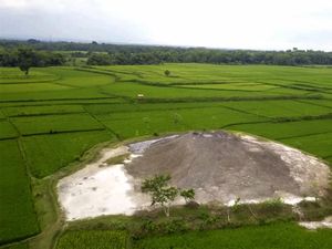 Ada Gunung Baru di Grobogan Pasca Gempa Bawean, Begini Penjelasan Badan Geologi Ada Gunung Baru di Grobogan Pasca Gempa Bawean, Begini Penjelasan Badan Geologi