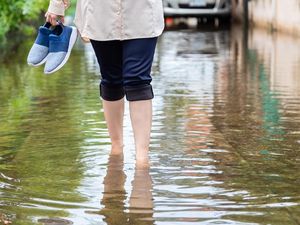 Rentan Terjadi di Musim Hujan dan Banjir, Apa Itu Penyakit Leptospirosis? Rentan Terjadi di Musim Hujan dan Banjir, Apa Itu Penyakit Leptospirosis?
