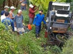 Kuda Penarik Andong Nyemplung di Potorono Bantul Ternyata Baru Dilatih