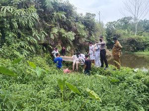 Hilang 5 Hari, Pria di Simalungun Ditemukan Tewas di Semak-semak