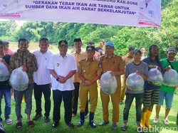 Pj Gubernur Sulsel Serahkan 200 Ribu Benih Ikan Nila untuk Warga Lamuru Bone