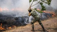 Si Jago Merah Lalap Hutan di Meksiko