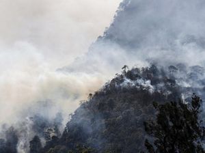 Penampakan Kebakaran Hebat Landa Hutan di Meksiko