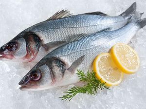 5 Tips Konsumsi Ikan dengan Aman Agar Maksimal Khasiatnya 5 Tips Konsumsi Ikan dengan Aman Agar Maksimal Khasiatnya