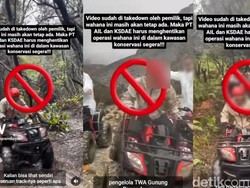 Wisata ATV di Papandayan Tuai Kecaman Aktivis dan Peneliti Elang Jawa