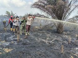 Lahan Gambut di Bengkalis Terbakar, Polisi-TNI Terus Berjibaku Padamkan Api