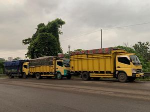 47 Ton Batu Bara Ilegal Gagal Diselundupkan ke Lampung, 4 Sopir Tersangka 47 Ton Batu Bara Ilegal Gagal Diselundupkan ke Lampung, 4 Sopir Tersangka