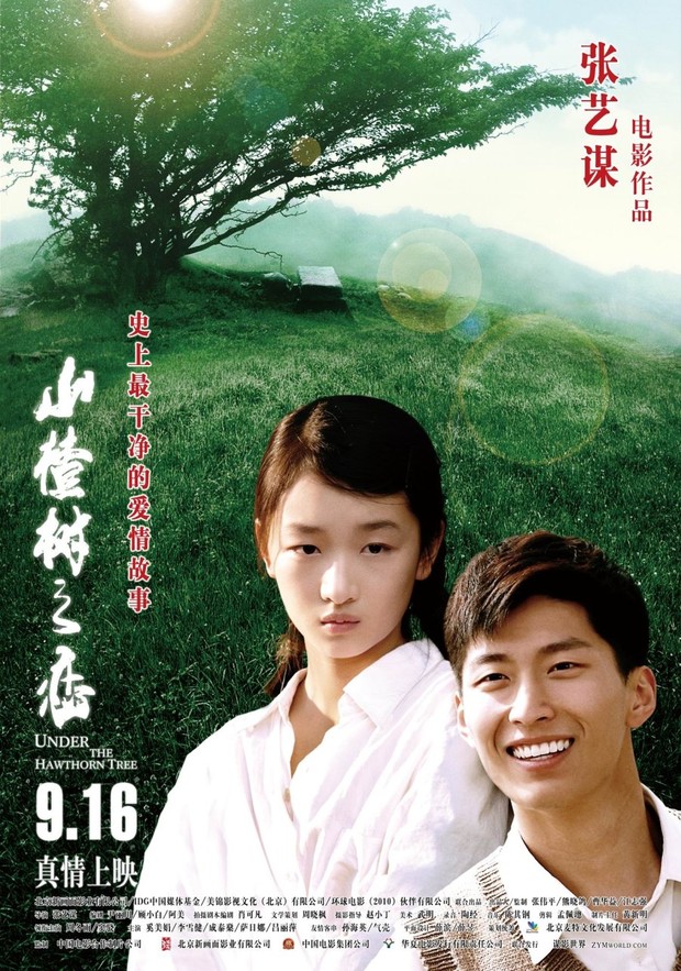 Under the Hawthorn Tree (2010)/Foto: Xin Huamian Film