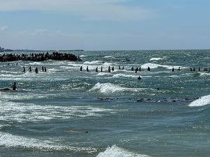 12 Warga Gaza Tewas Tenggelam saat Ambil Bantuan yang Jatuh ke Laut