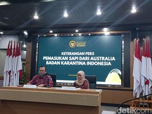 151 Sapi Impor dari Australia Mati saat ke RI Gegara Wabah, Bangkainya Hilang 151 Sapi Impor dari Australia Mati saat ke RI Gegara Wabah, Bangkainya Hilang